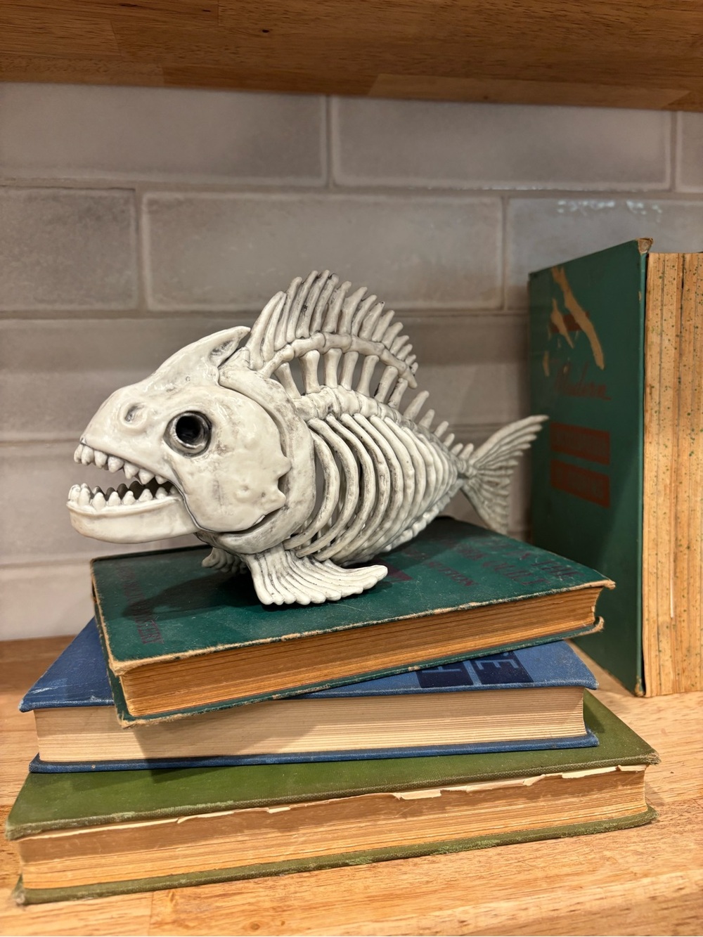 White Fish Skeleton Halloween Decor Accessory